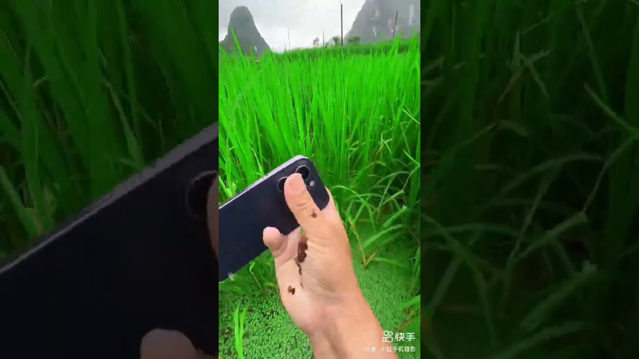 iPhone Camera Review