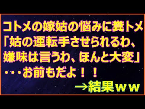 【スカッとする話】嫁姑問題に苦労しているコトメに「いつも姑の運転手させられるわ、実家に遊びにいくといえば嫌味は言うわ、ほんと大変」・・・お前もだよ！・・・→結果ｗｗ【スカッとランド】