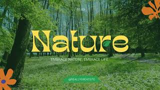 The Beauty of Nature: Exploring the Wonders of the Natural World