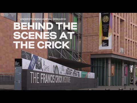 Behind the scenes at the Francis Crick Institute: working with different species in Medical Research