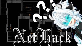 Playing one of the hardest games to learn (NetHack)