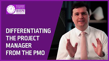 Is PMO higher than project manager?