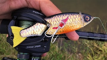 Injured Bait Fish | One Day Build to Catch