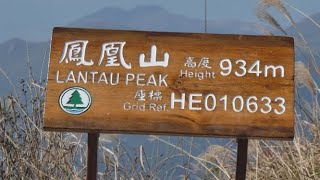 伯公坳/鳳凰山/昂坪 2019.11.30