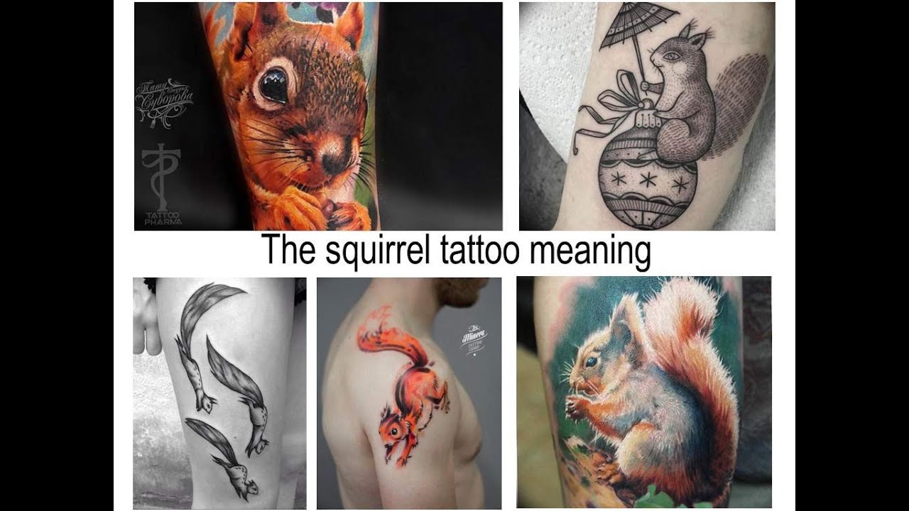 Large 'Red Squirrel' Temporary Tattoo (TO00043248) : Amazon.ca: Beauty &  Personal Care