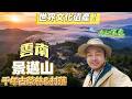雲南景邁山，探秘世界文化遺產之中的千年古茶林與村落（三天兩夜VLOG，糯幹，芒洪，芒景，翁基古寨）