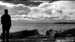 لا ترد مات الورد /باسم الكربلائي /عشق هالقصيدة