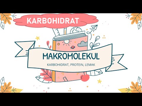 Video: Apakah makromolekul terdiri dari polimer?