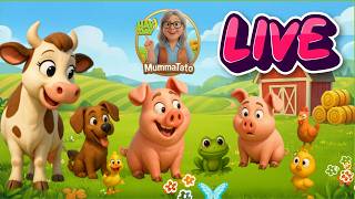 Mumma Tato, Hay Day, #haydaytips #haydayinspo #haydaydesign