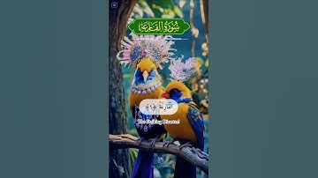 سورة القارعة #الله #القرآن #فيروسي #فيديو فيروسي #فيديو فيروسي على يوتيوب #فيديو رائج #سورة القارعة