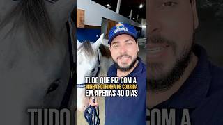 Tudo que fiz com minha potrinha em 40 dias 🏇🏻🐴 #quartodemilha #cavalo #campeoesdaraia #vaquejada