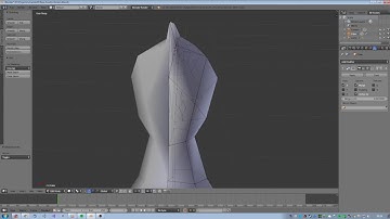 Chicken Modelling (20x time lapse)