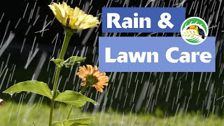 How Does Rain Affect Fertilizer & Weed Control