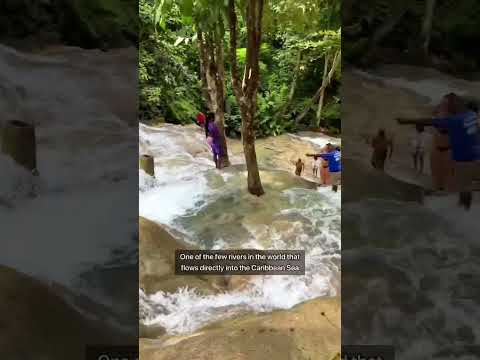 Video: Návšteva vodopádov Dunn's River Falls na Jamajke