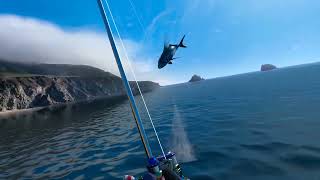 Real VR Fishing Leaderboard Tips