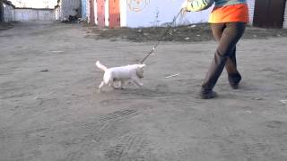 WP 20160405 002