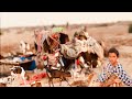 Nomadic woman village life  traditional cooking unique recipes cholistan dessert  asif bukhari