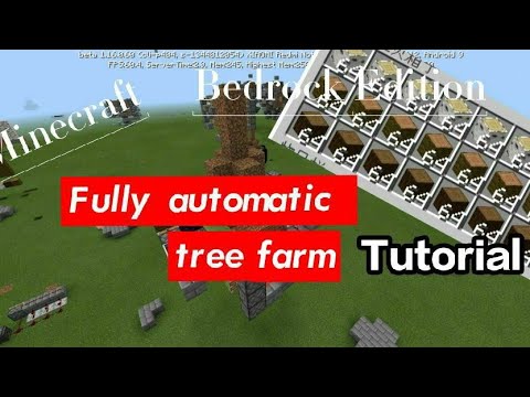 Fully automatic tree farm Tutorial，Minecraft Bedrock Edition1.15～1.16