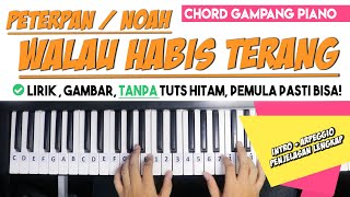 Tutorial Chord Piano (Disertai Intro) | WALAU HABIS TERANG - Peterpan / Noah | Untuk Pemula