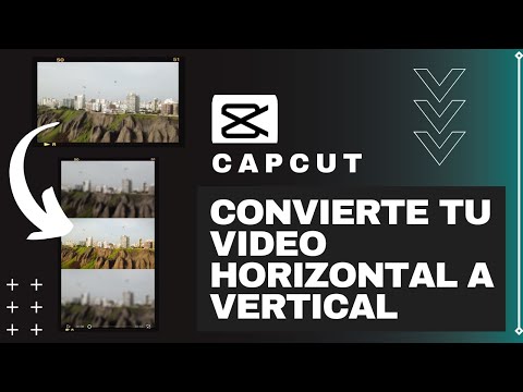 Vídeo: Quina vertical en la publicació?