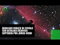 Nebulosa Cabeça de Cavalo tem detalhes incríveis captados por James Webb