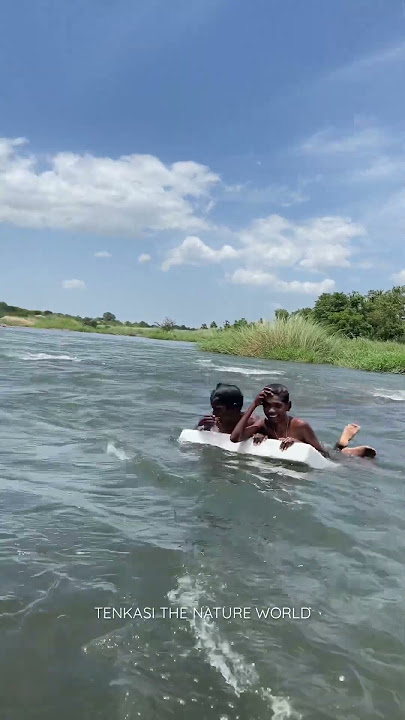 Thamirabarani River #tirunelveli #river #summer #tenkasithenatureworld #kids #thamirabaraniriver