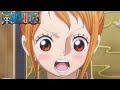 Accidental Happiness Punch | One Piece