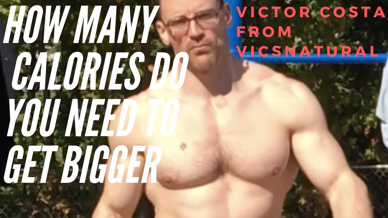 bodybuilding motivation 2018 hd - levels of dedication How Much Do You need to Eat to Get Bigger?