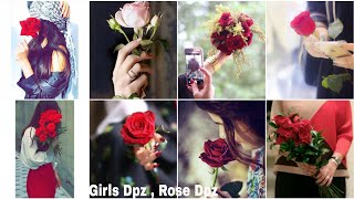 Rose dpz for girl, WhatsApp dpz, Unique Rose Dpz, Instagram Profile, FB Profile dp, TrendWithFashion