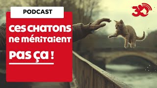PODCAST - Un adolescent filmé en train de jeter des chatons par-dessus un pont