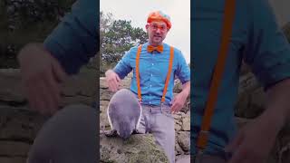 🐧 Blippi The Penguin 🐧 #Shorts #Blippi