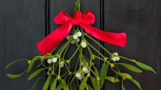 Recover Mistletoe for my friends- og Stephen Sharer and Justin Bieber and ehapen  screenshot 4