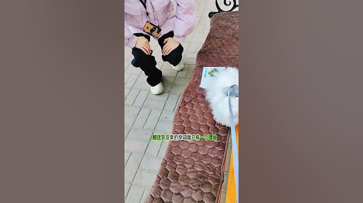我竟然养了只这么虚荣的猫～#记录猫咪日常 #这是谁家的小猫咪啊 #我和我的猫 #动物的迷惑行为 #猫咪的日常