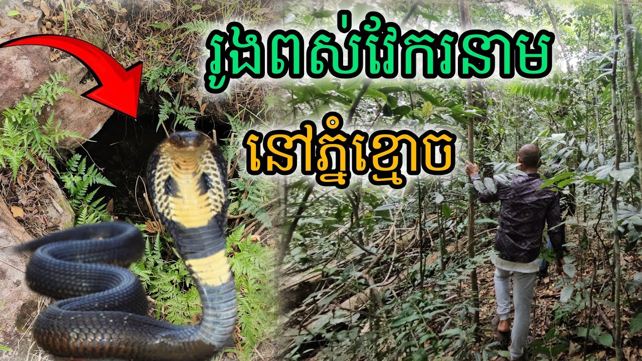 រូងពស់វែករនាមនៅភ្នំខ្មោច