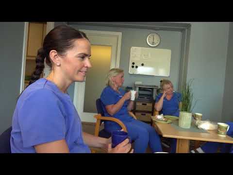Video: Tannlege - Yrke, Konsultasjon, Mottakelse
