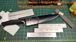 Tam O'Shanter + Belgian Yellow Coticule - Wusthof Performer X50CrMoV15
