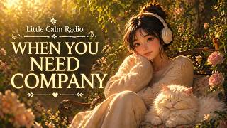 Soft Songs When You Need Company screenshot 1