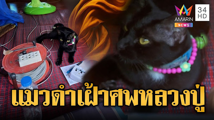 หลอน! แมวดำเฝ้าศพหลวงปู่มรณะภาพปริศนา | ข่าวอรุณอมรินทร์ | 11/7/68