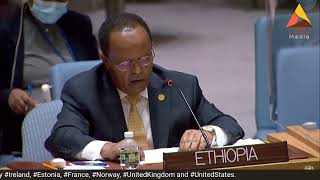 United Nations Security Council on Tigray, Ethiopia