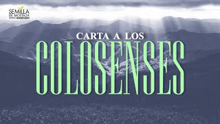 (08) Colosenses 3:117  Cómo se ve un cristiano