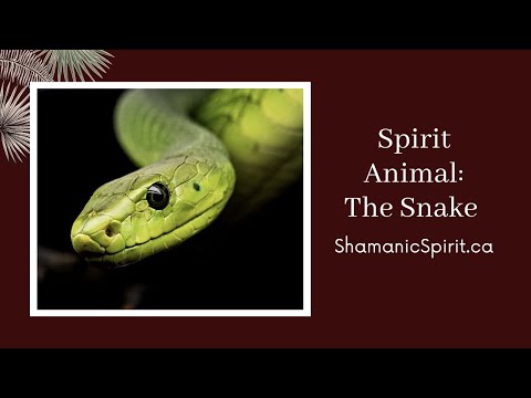 Wideo: Kto oznacza symbol węża?