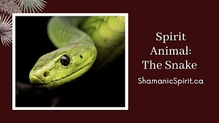 Animal Spirit Guide: The Snake (Shamanic Power Animal). Snake Symbolism
