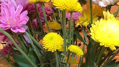 Day 4 The  Arupa Jhanas explained -5-8 & Nibbana with Delson Armstrong.  Jhanas Pt 2