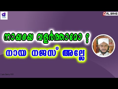 നായയെ വളർത്തമോ?. നായ നജസ് അല്ലെ?|#islamicspeach #al_bahs #fiqh #dog_in_islam