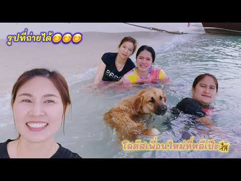 ทริปเกาะหลีเป๊ะ จังหวัดสตูล🏖🚤😊🐕