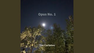 Video thumbnail of "Tim Carleton - Opus No. 1"