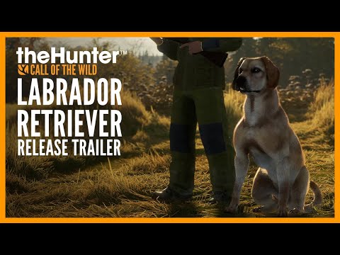 kein Name: Labrador Retriever - Launch Trailer