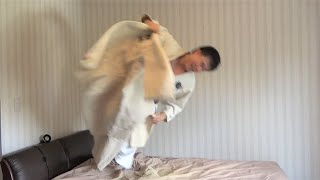 【大野幹平】柔道 男子73㎏級 優勝 ハイライト【東京オリンピック】