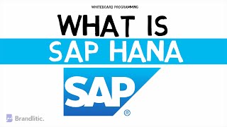 What is SAP HANA Explained | Introduction to SAP HANA Basics for Beginners