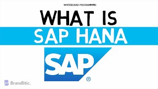 What is SAP HANA Explained | Introduction to SAP HANA Basics for Beginners screenshot 5